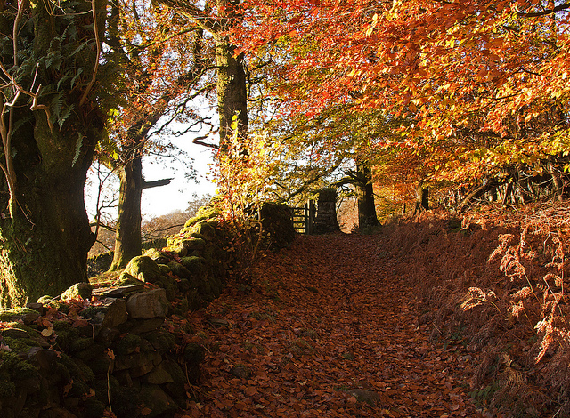 The Lake District