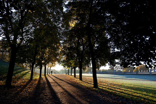 Autumn in Oslo