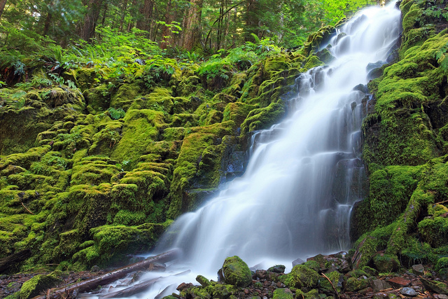 White Branch Falls