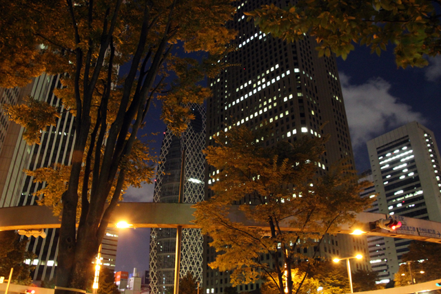 Tokyo by night