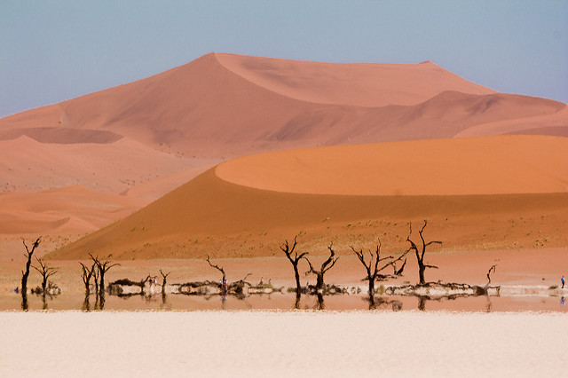 Dead Vlei