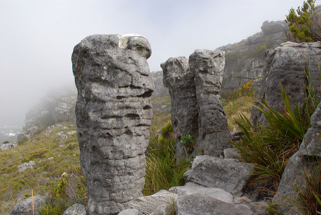 Table Mountain rock formations