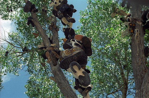 The Middlegate Shoe Tree