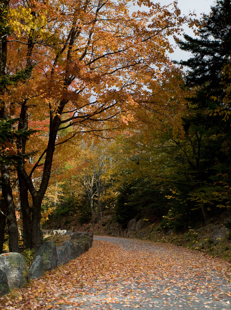 Carriage road