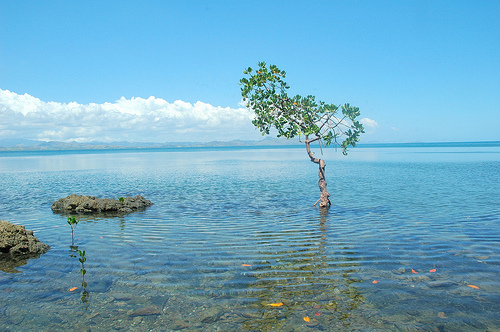 Vorovoro Island, Fiji