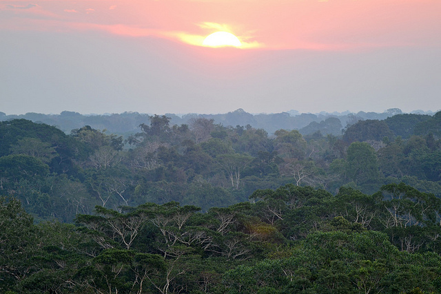 Amazon sunset