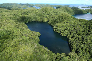 Jellyfish Lake, Palau