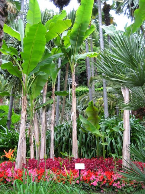 Villa Carlotta - villa gardens, Lake Como