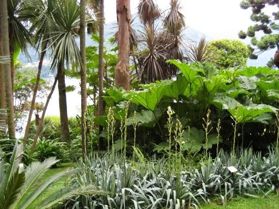 Villa Carlotta - villa gardens, Lake Como