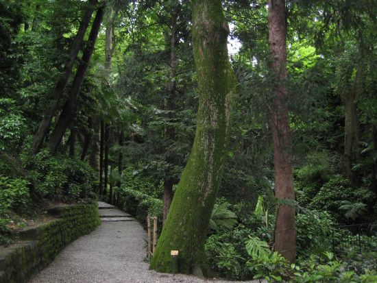 Villa Carlotta - villa gardens, Lake Como