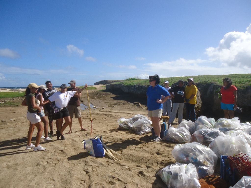 De Palm Tours- Aruba Today